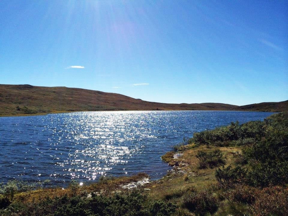 Flotte jakt-, fiske- og bademuligheter i området. Galleribilde