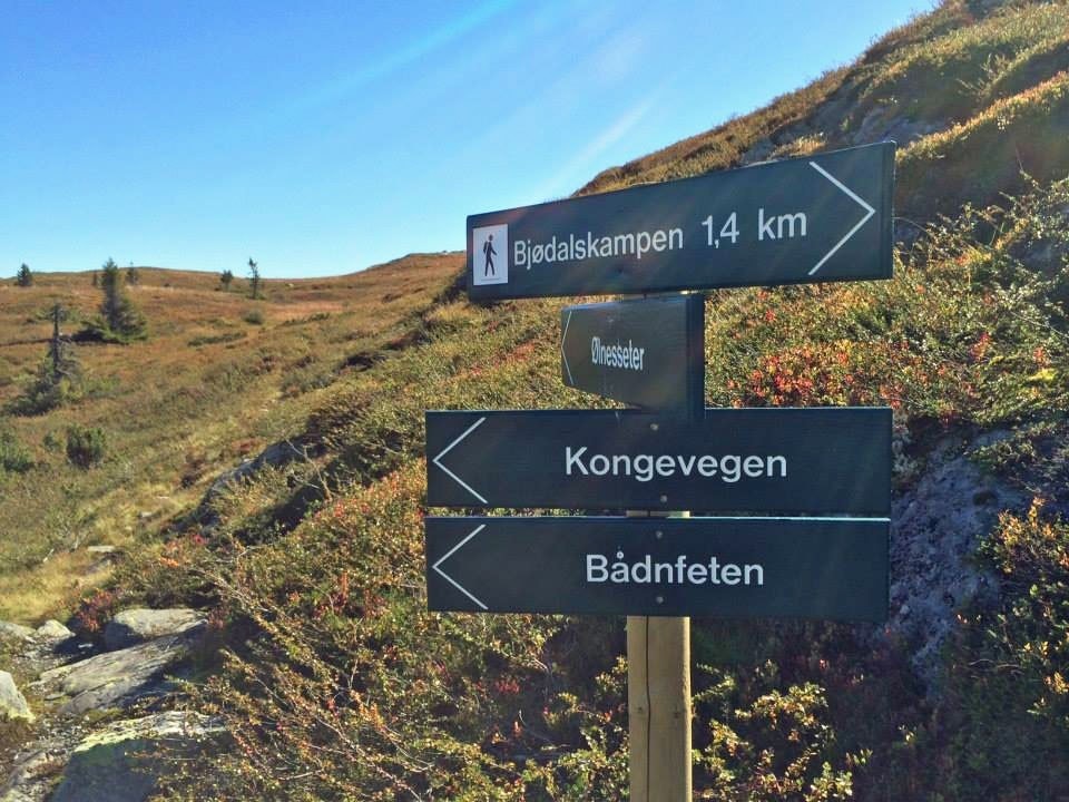 Turstiene er godt skiltet i området. Her kan du til og med gå på den historiske Kongevegen. Galleribilde