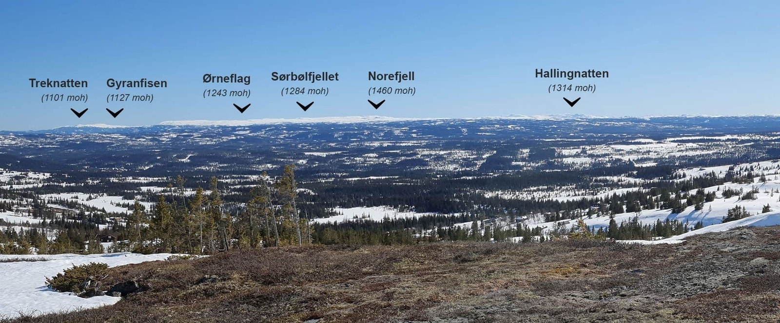 Mange tilbyr panoramautsikt, men vi tør påstå at utsikten på Ølnesseter er blant landets lengste panoramautsikt! Galleribilde