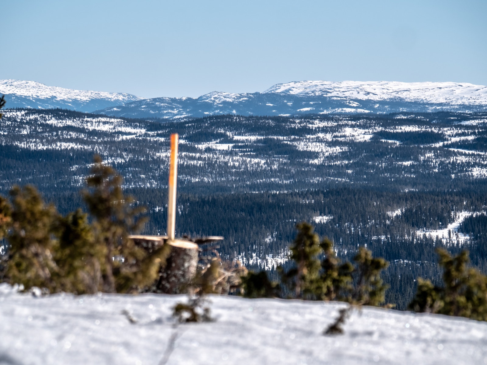 Skal det være en tomt med utsikt? Galleribilde
