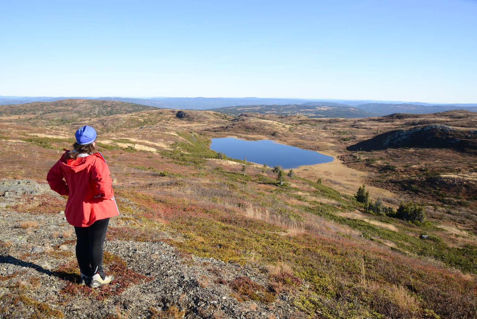 Unike turmuligheter året rundt. NB: Tørt fjell = lite mygg! Galleribilde