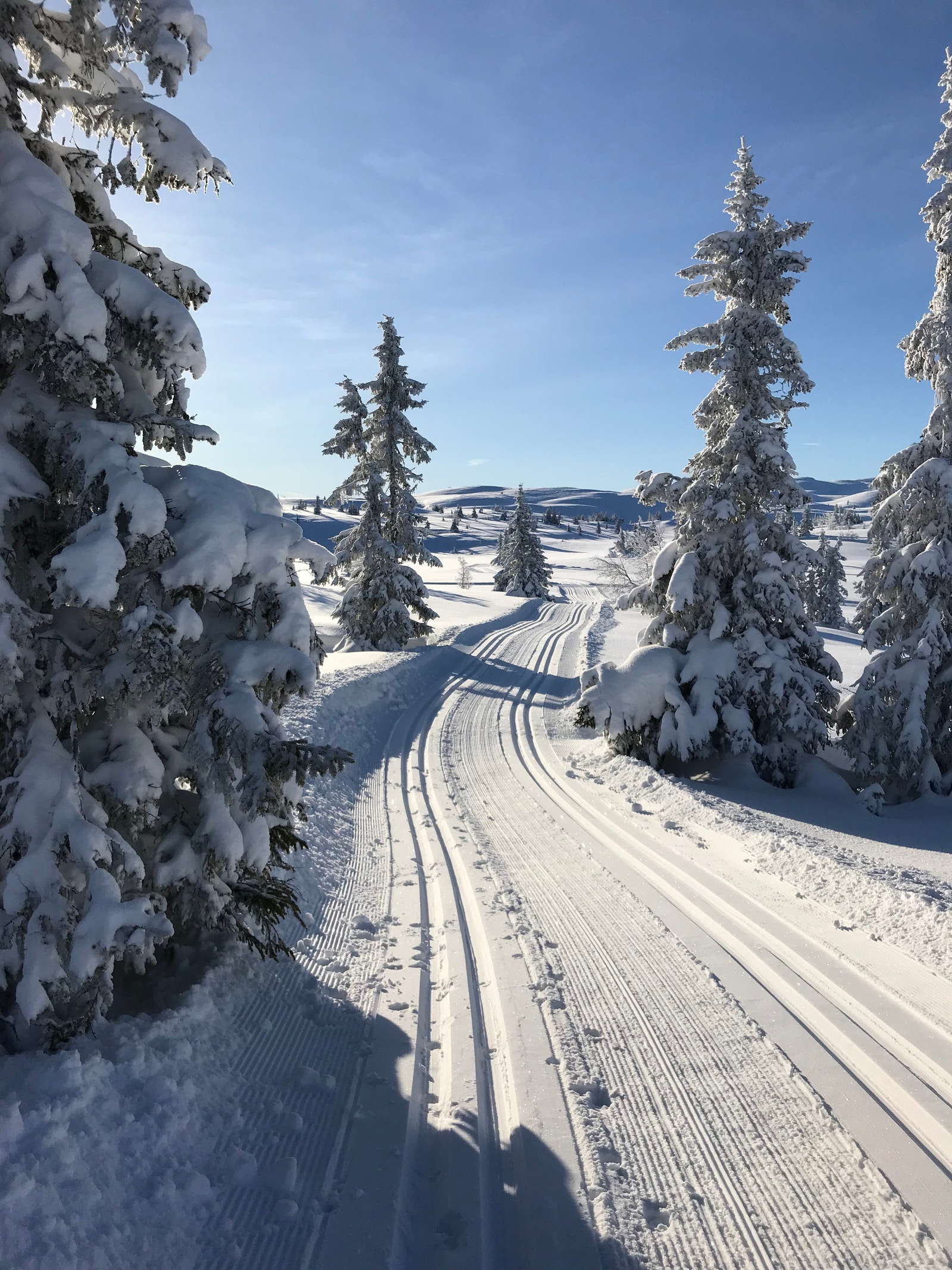 Skiløypa går rette gjennom hyttefeltet. Siden løypenettet henger sammen i Valdres og Hallingdal, har du et nesten uendelig valg av skitur-muligheter rett utenfor hyttedøra. Galleribilde