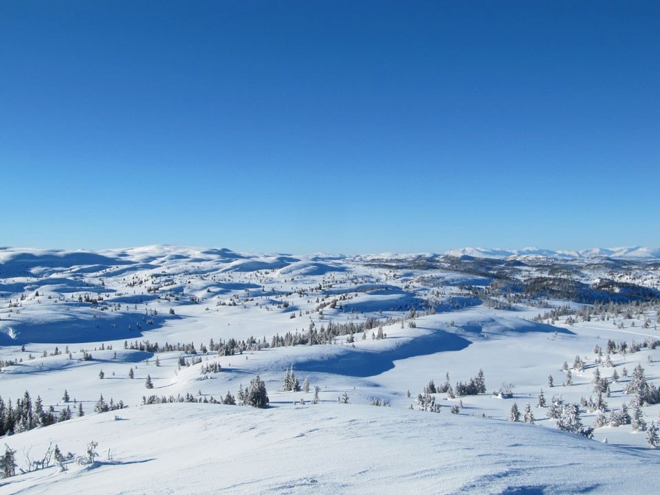 Skiterreng i særklasse Galleribilde