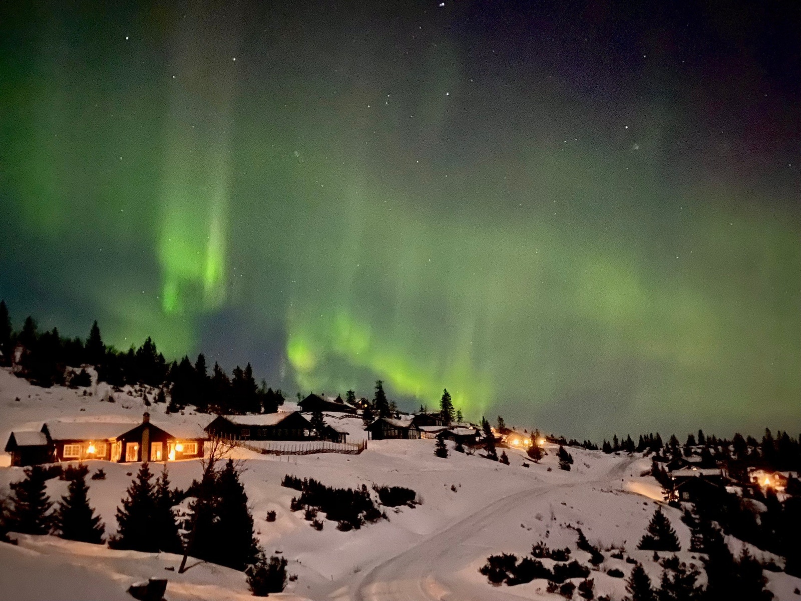 Østenfor sol, vestenfor måne... Galleribilde