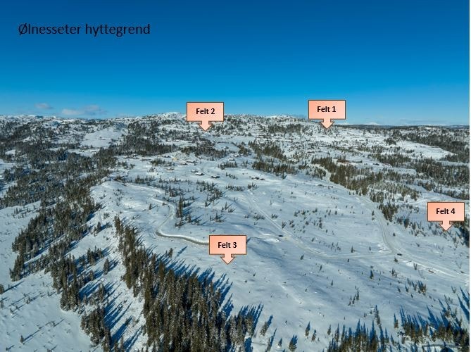 Vi tilbyr tomter i 4 forskjellige hyttefelt, som ligger litt ulikt til i terrenget; Fjellreksla (felt 1), Ølnessetertoppen (felt 2),Bufarhalle (felt 3) og Berghalla /felt 4). Vi hjelper deg med å finne den rette tomten for deg Galleribilde