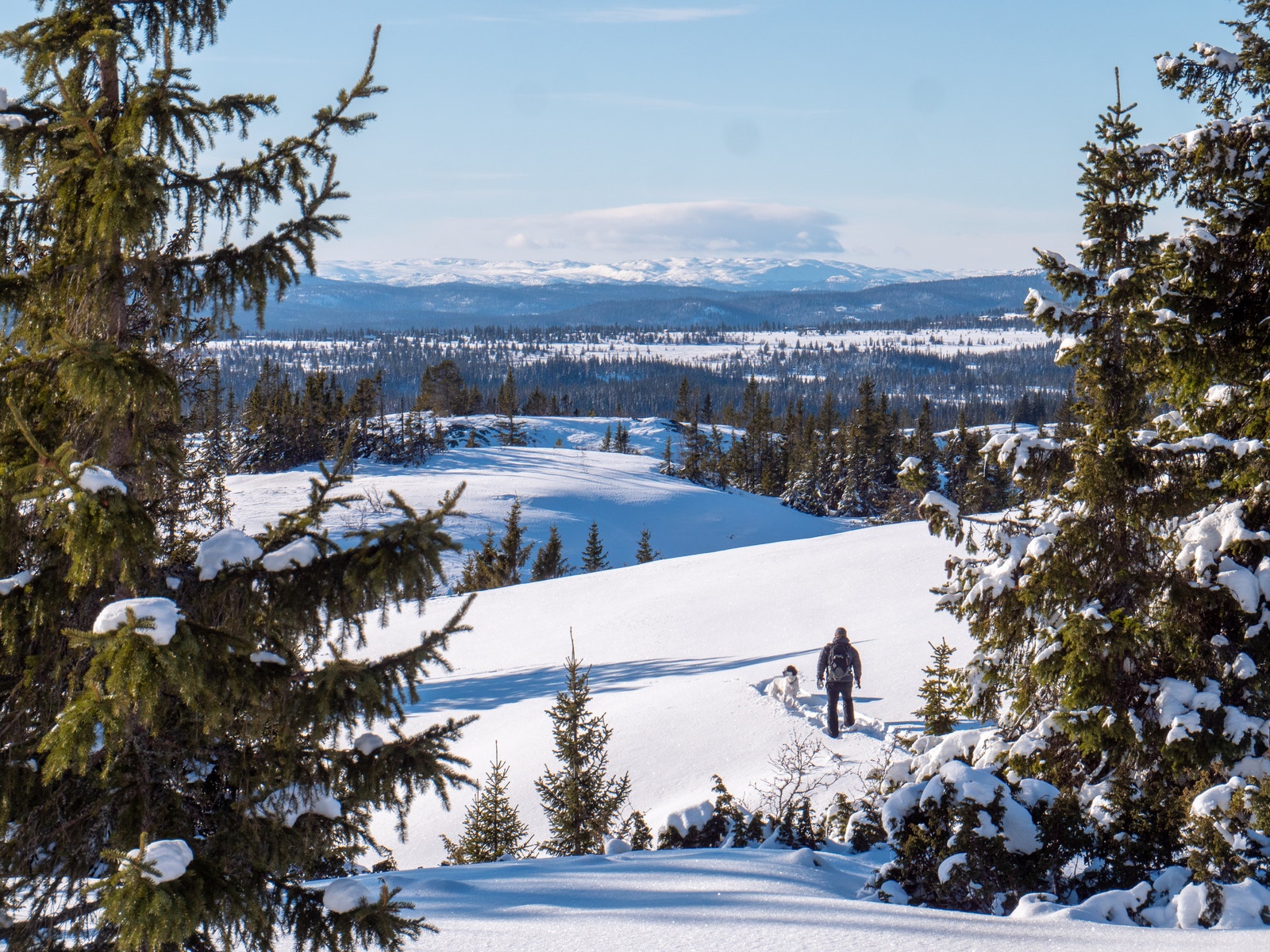 Ro i sjelen - landskap! Galleribilde