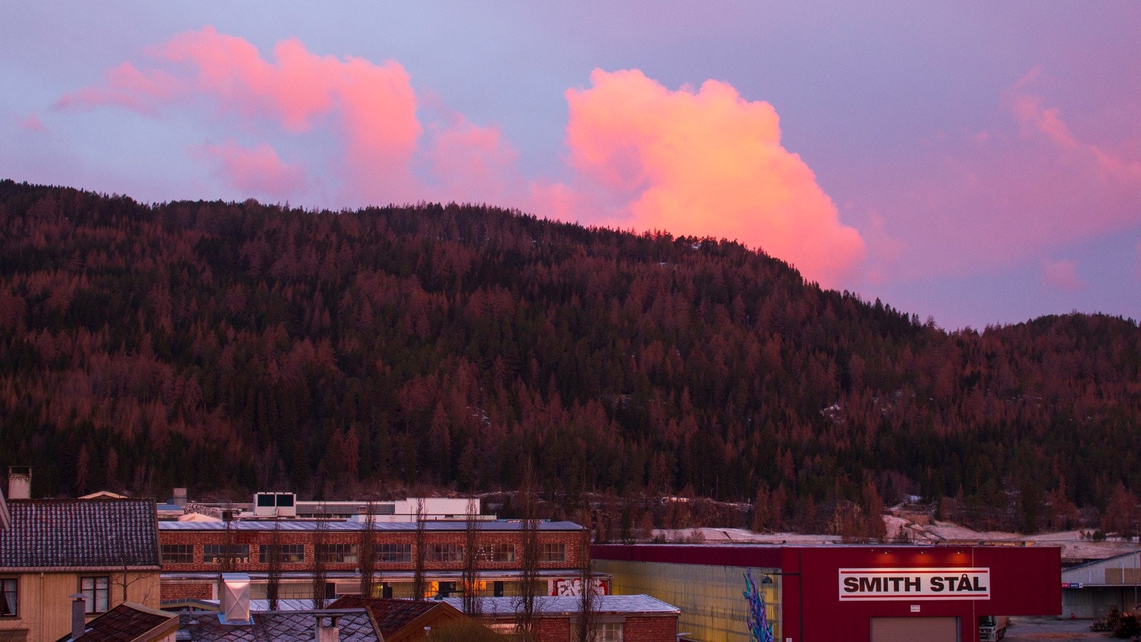 Velkommen til visning! Galleribilde