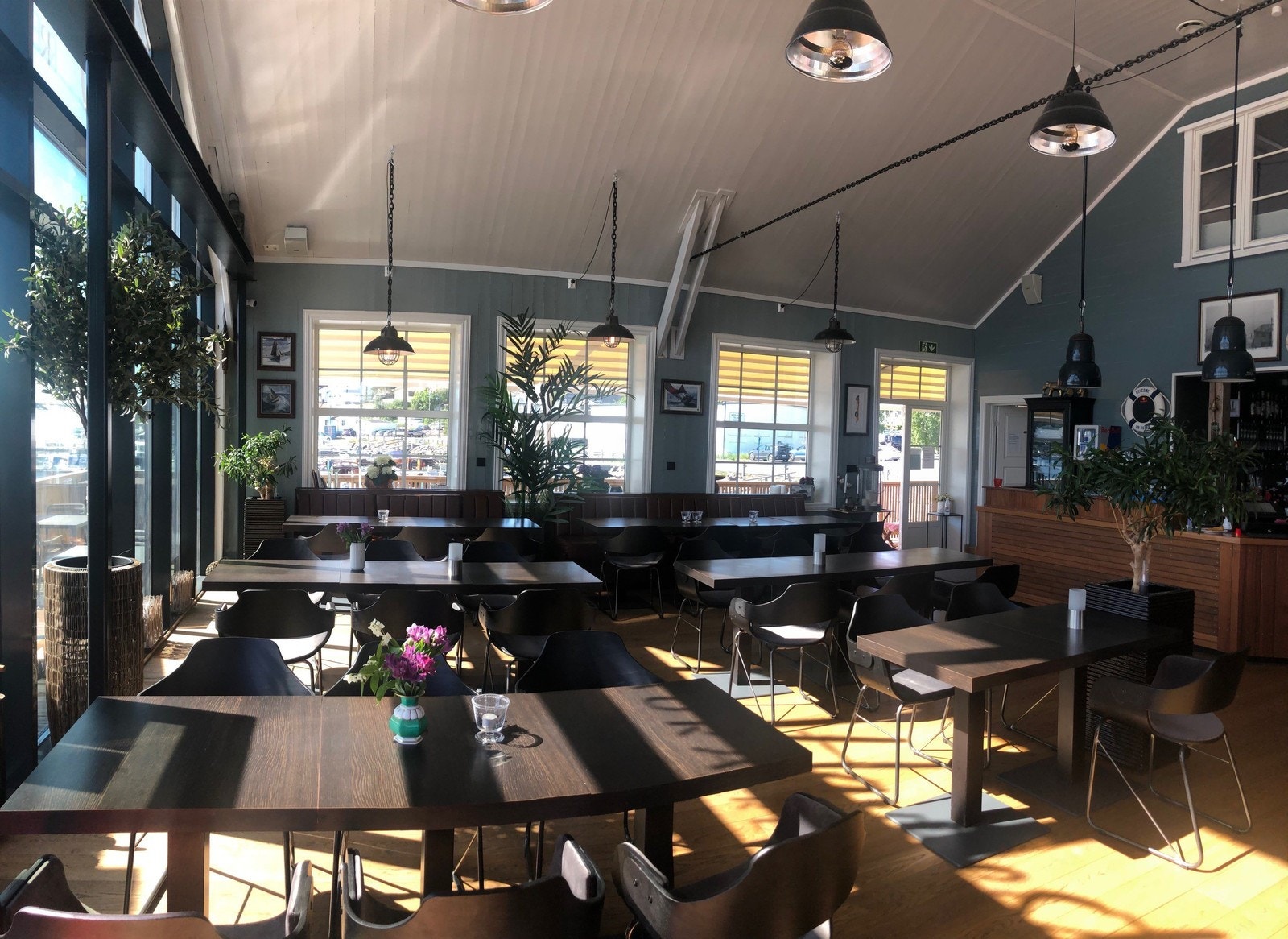 Havhesten restaurant nede i gata Galleribilde