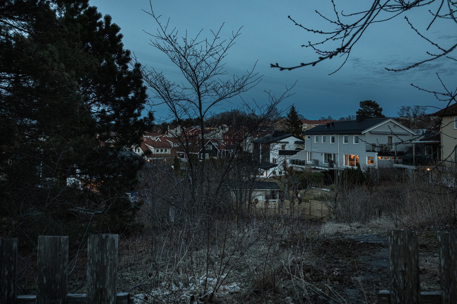 Idyllisk og frodig. Galleribilde