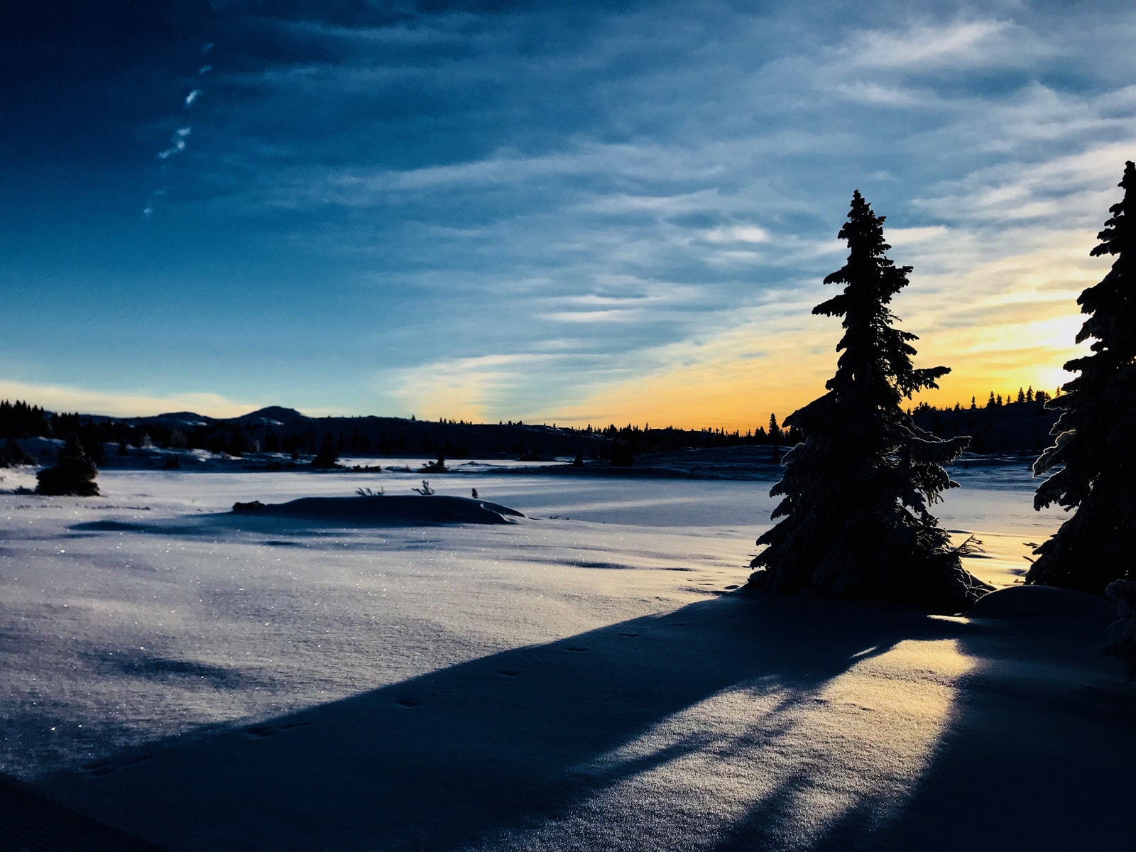 Stemningsbilde 1 Galleribilde