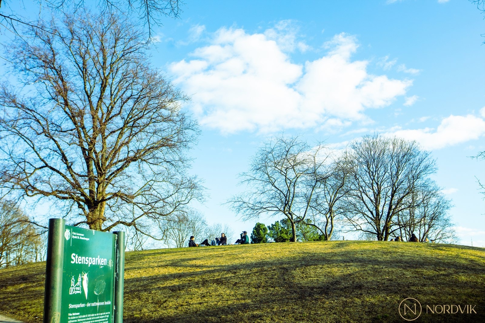 Området. Galleribilde