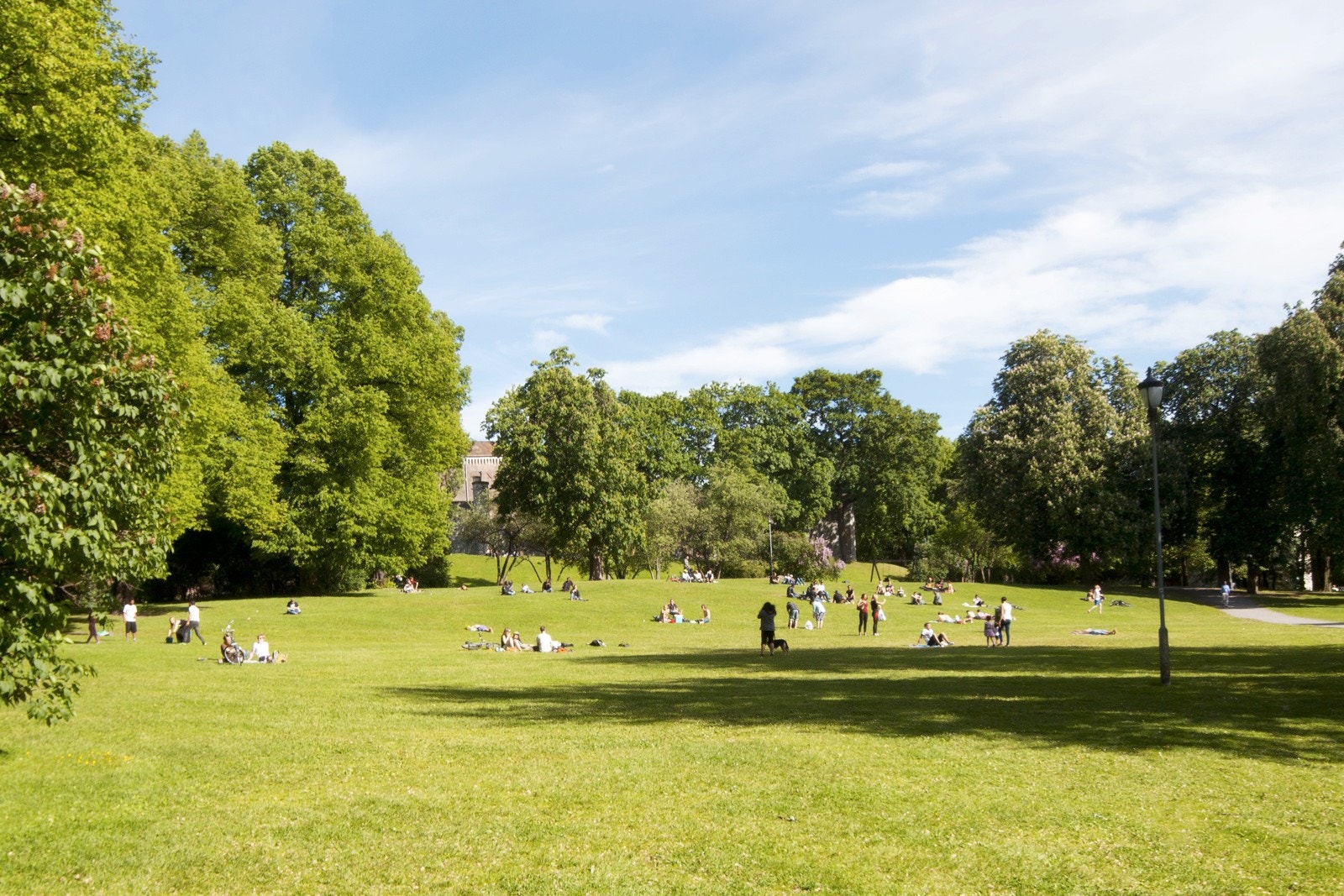 Her har du hyggelige Botsparken med store grøntområder. Du har også Tøyenparken og flere andre parker i nærheten. Galleribilde