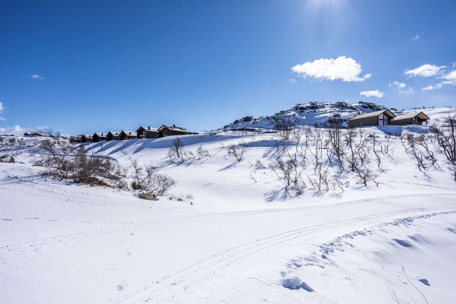 Feltet sett fra rundløype Galleribilde