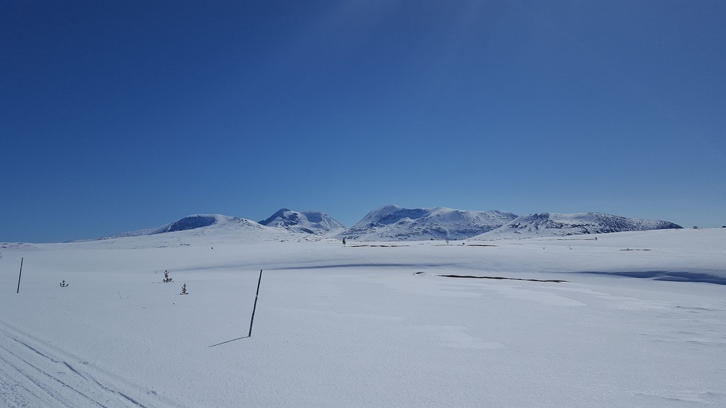 Ubeskrivelig vakkert! Galleribilde