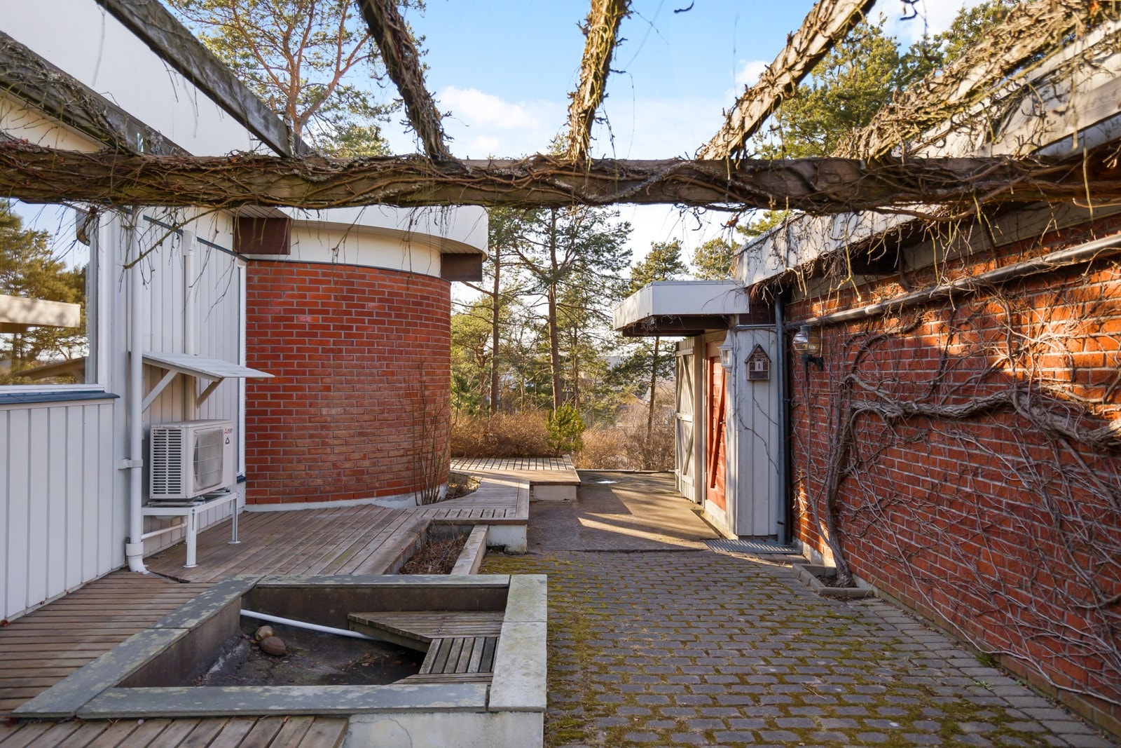 Pergola dekket av villvin. Galleribilde