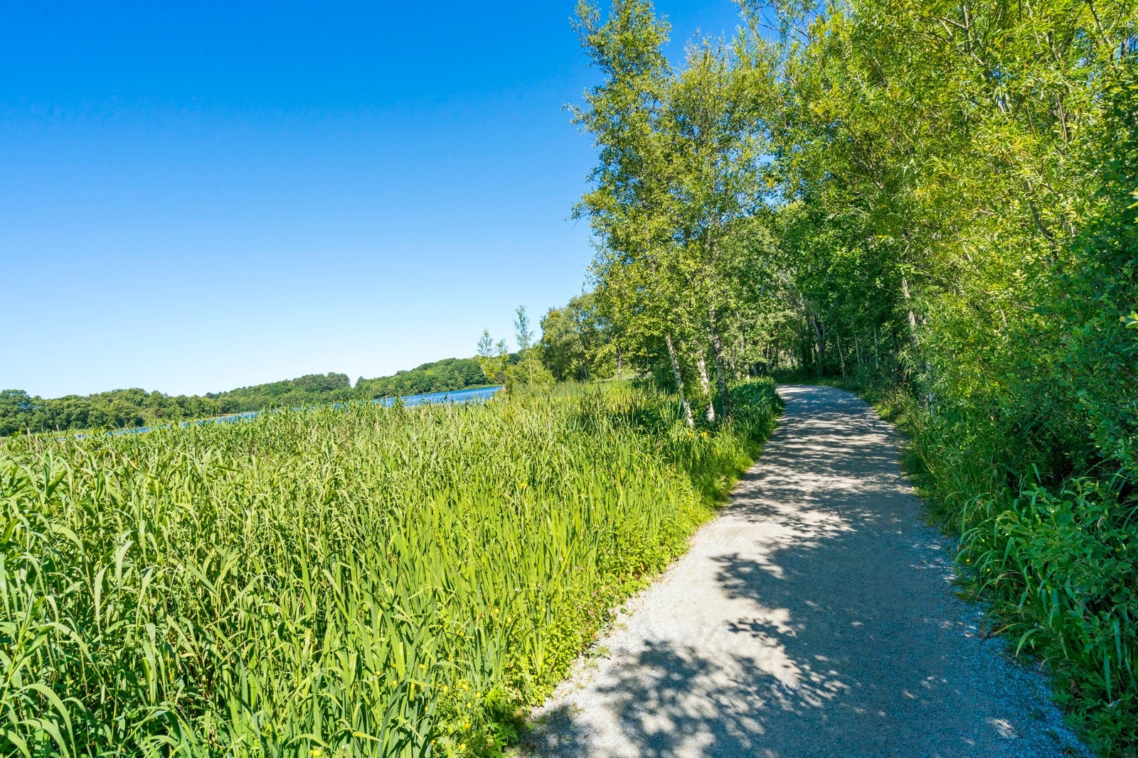 Proaktiv - Nærområde Galleribilde