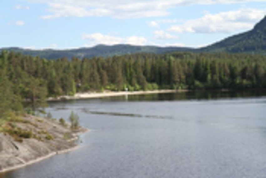 I Krøderen er det både bade-og fiskemuligheter, fine sandstrender, svaberg, samt mulighet for leie av båt og gode muligheter for krepsefiske. Galleribilde