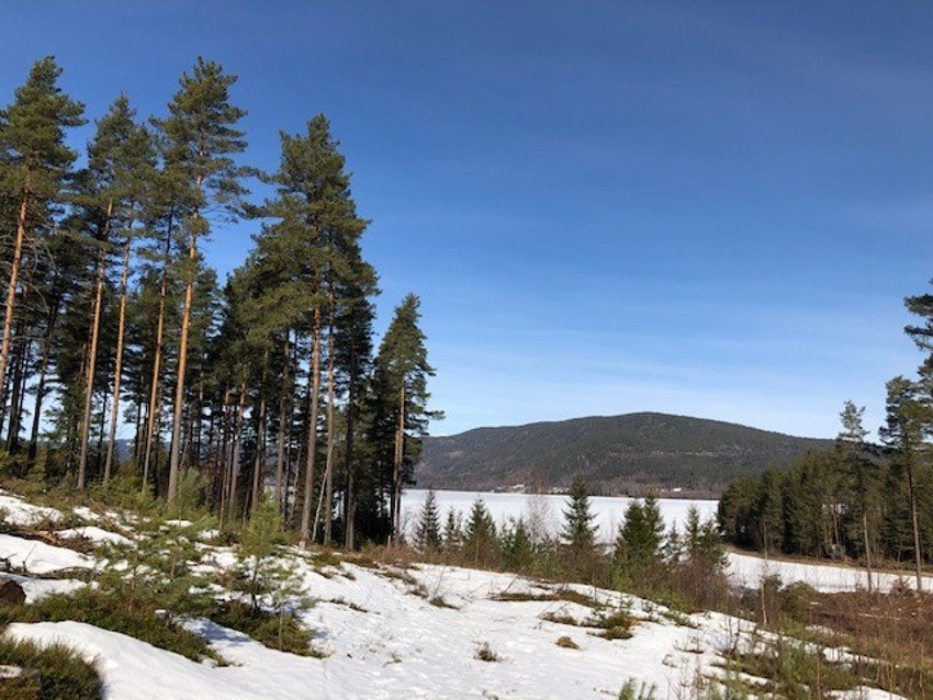 skinnes 2 Galleribilde