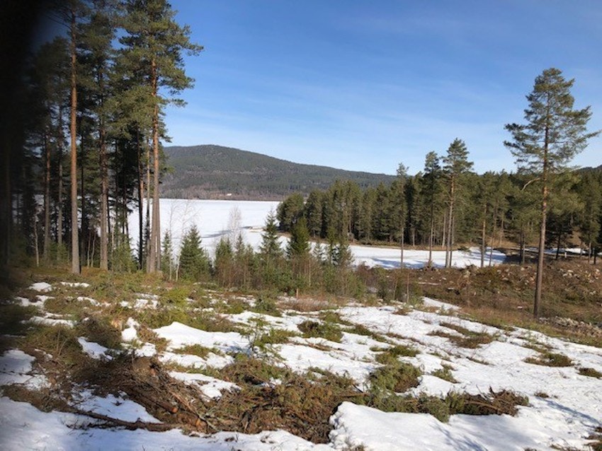 skinnes 3 Galleribilde