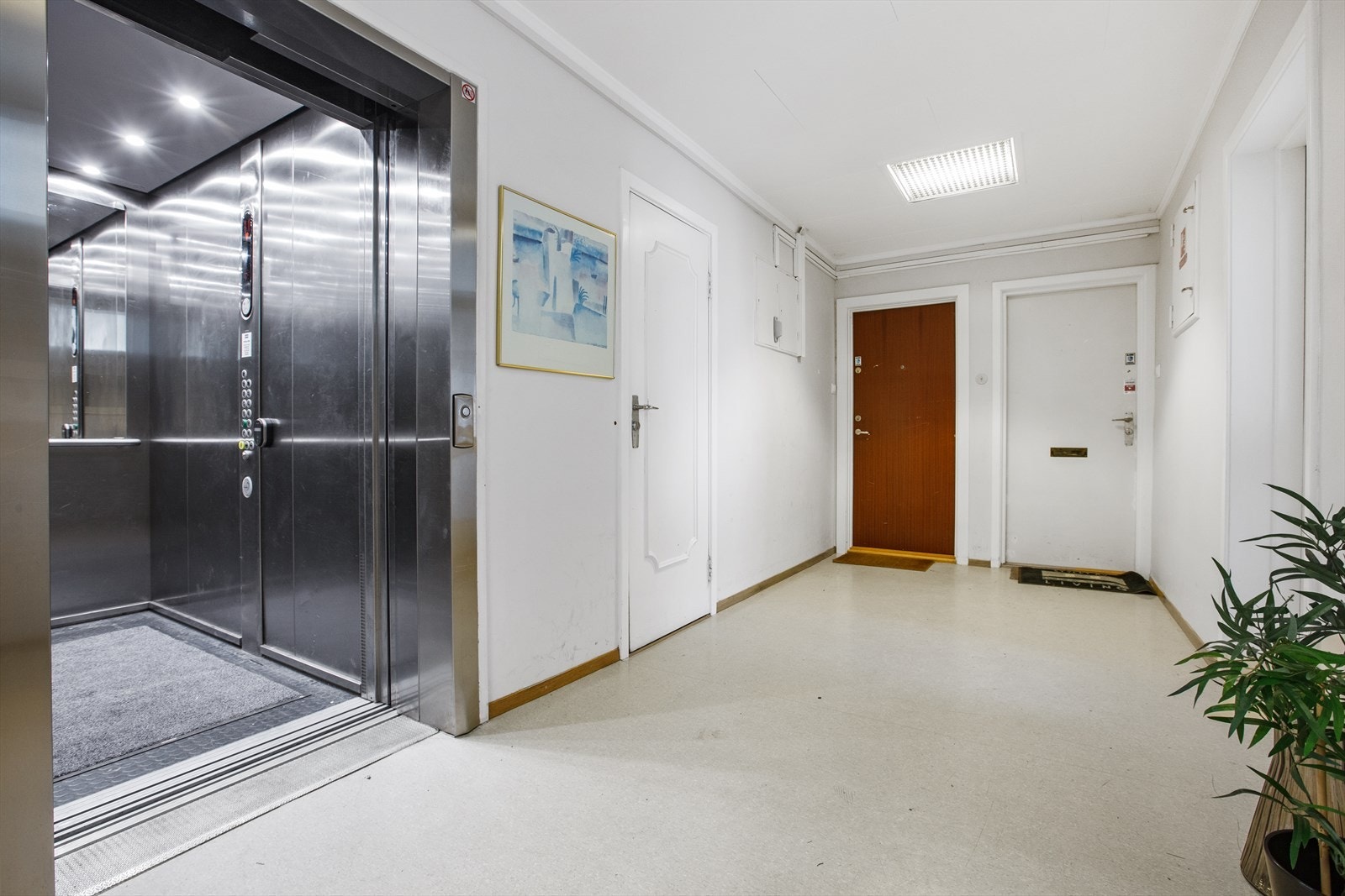Felles trapperom med heisadkomst. Galleribilde