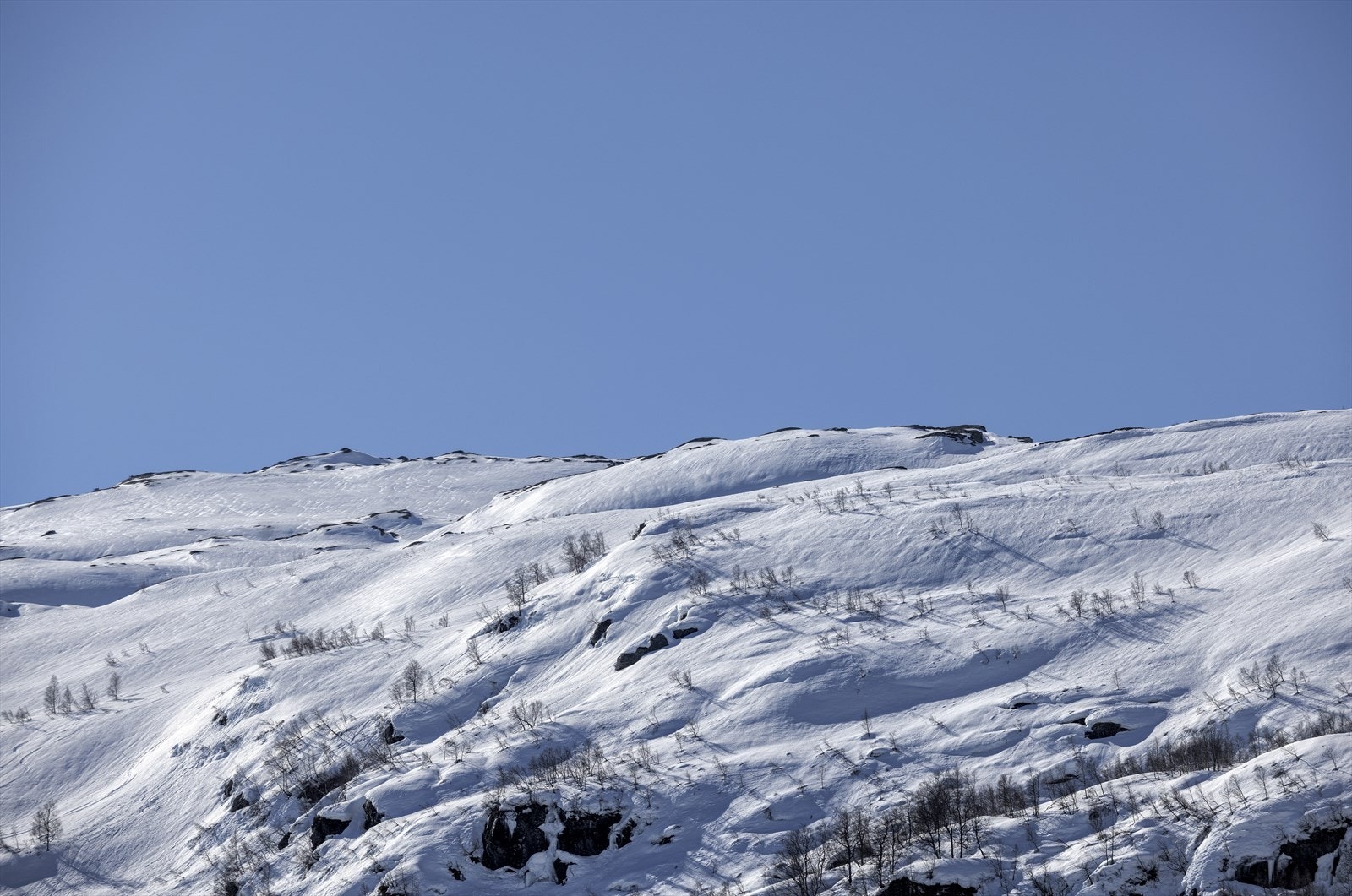 _K8A4850.jpg Galleribilde