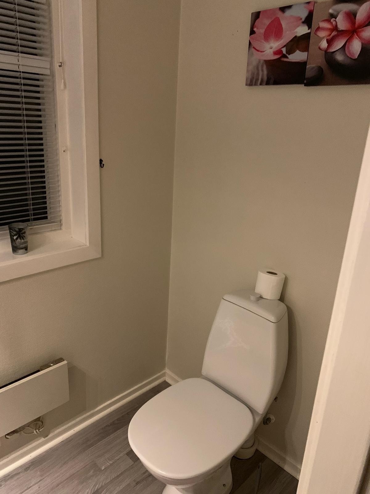 Ekstra toalett Galleribilde