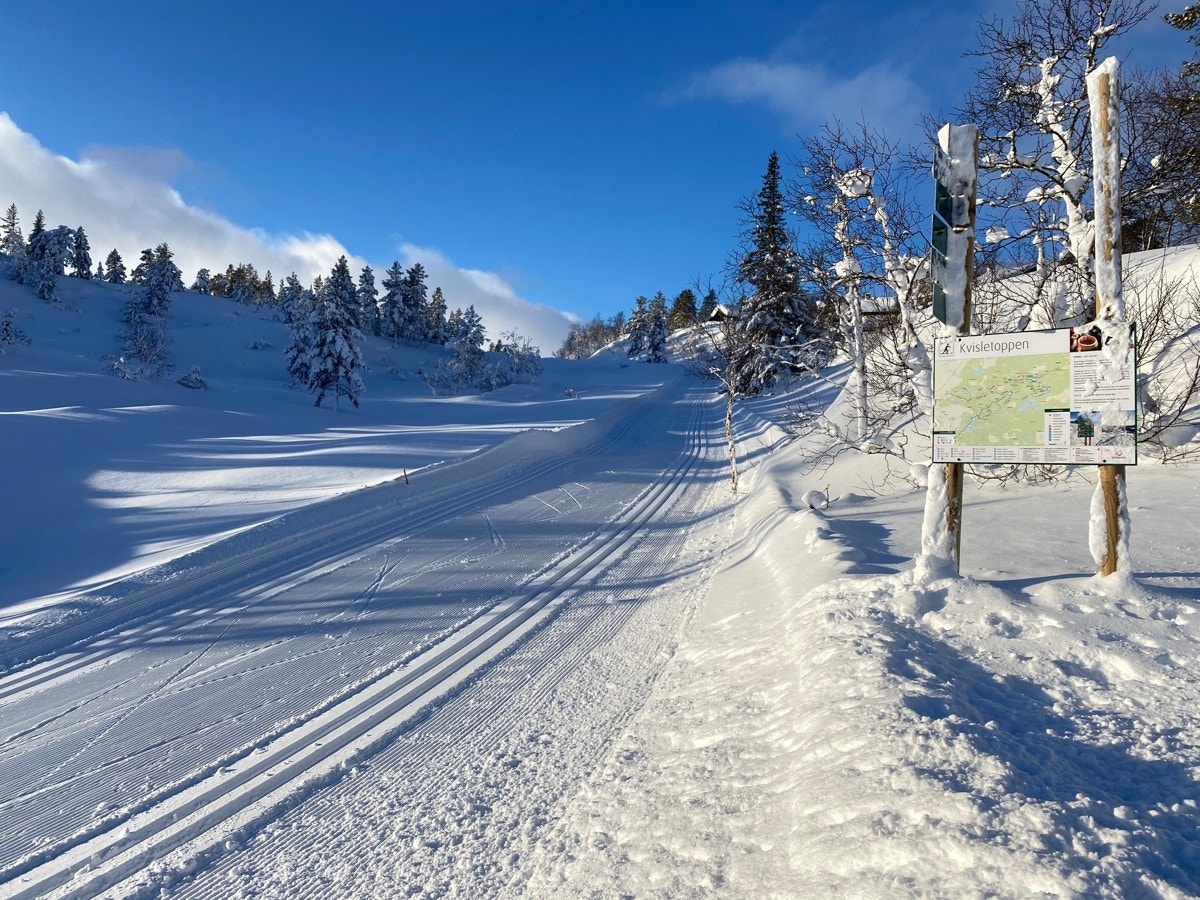 Bildet er tatt 23.01.21 Galleribilde