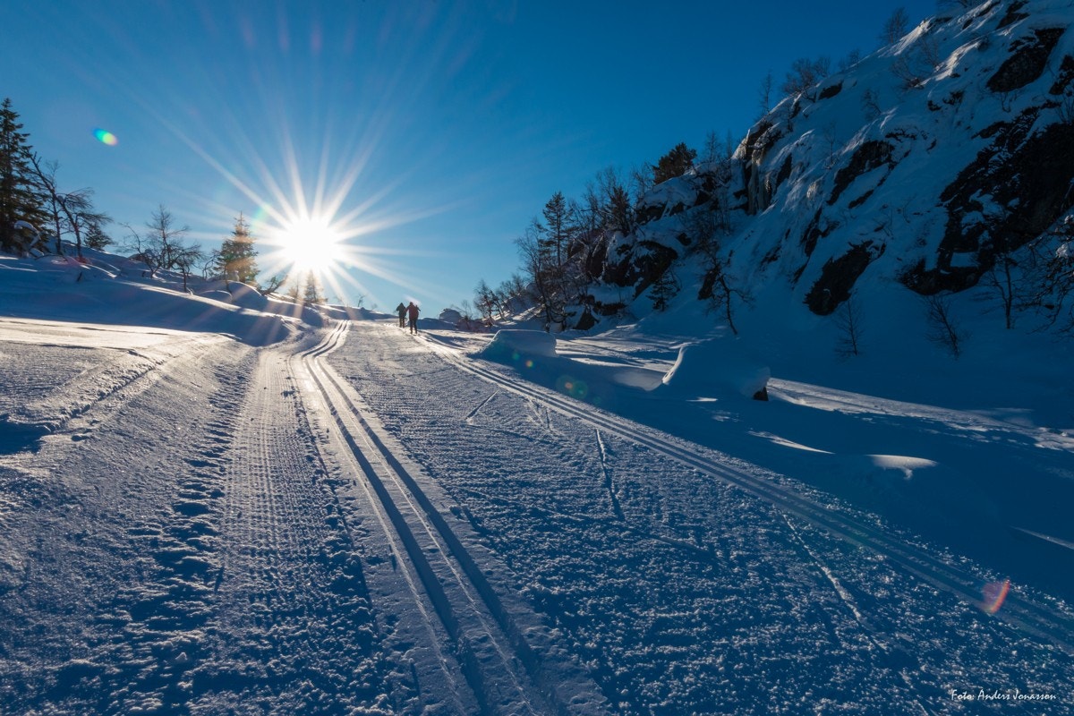 Rett ved oppkjørte skiløyper Galleribilde