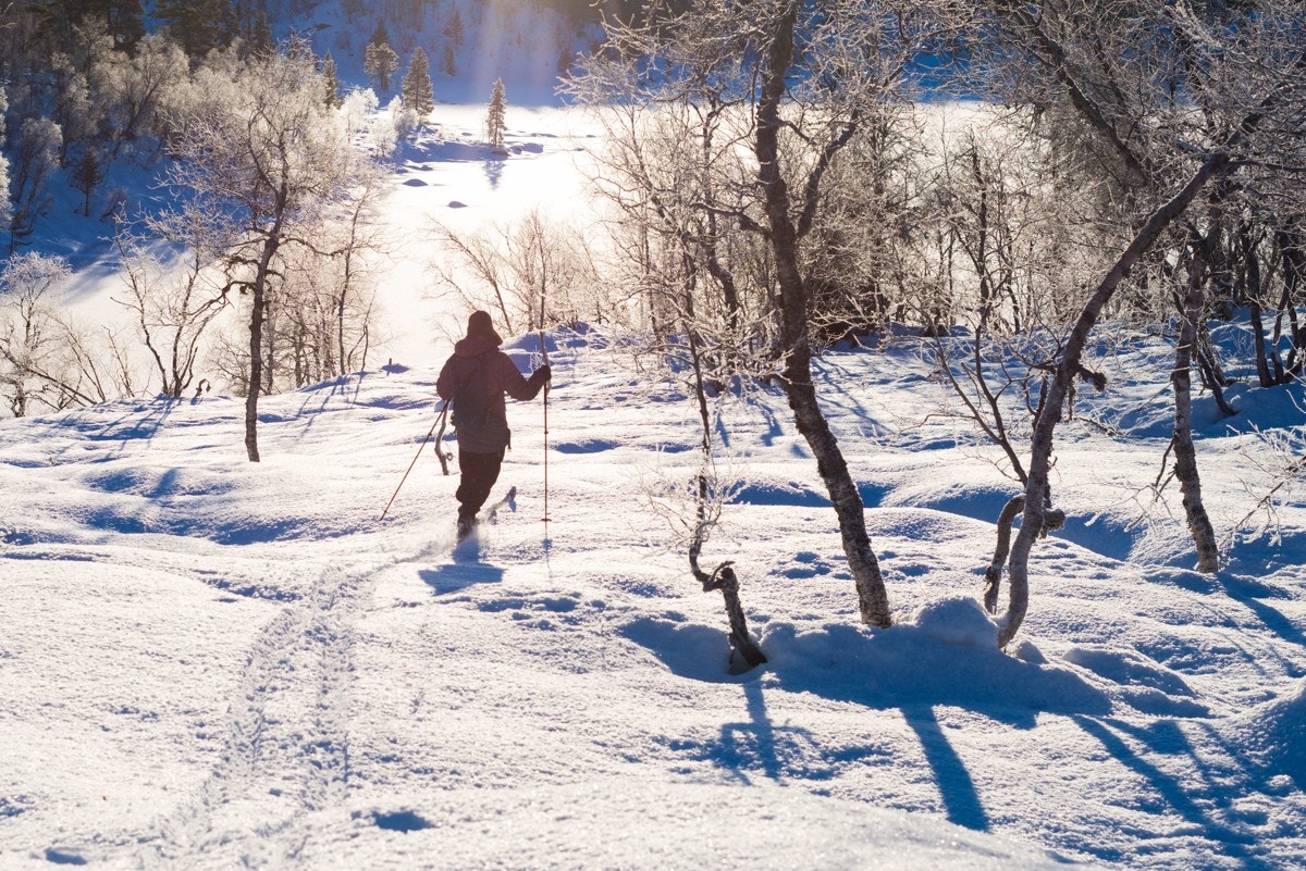 Finn din hyttedrøm på Kvisletoppen Sør Galleribilde