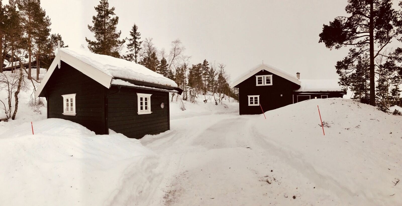 Hytta fra oss på Gautefall Panorama Galleribilde