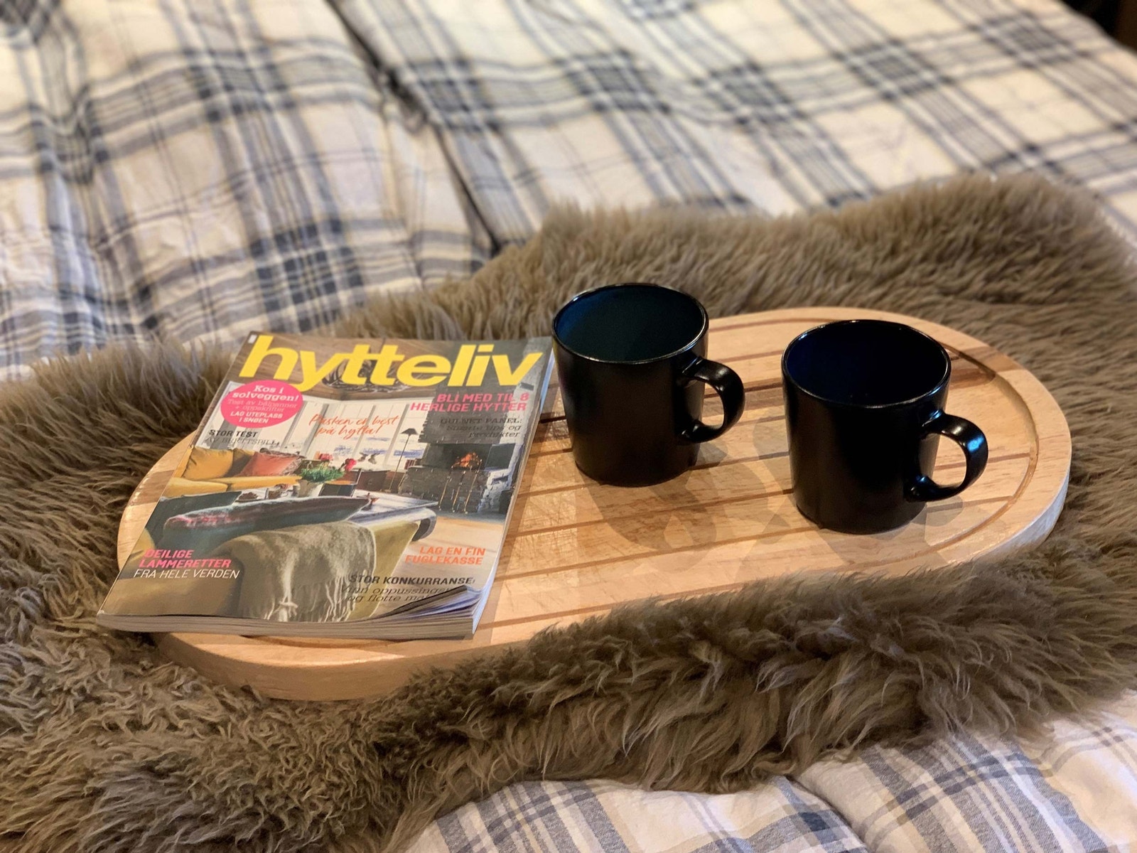 Bekkeblom kos Galleribilde