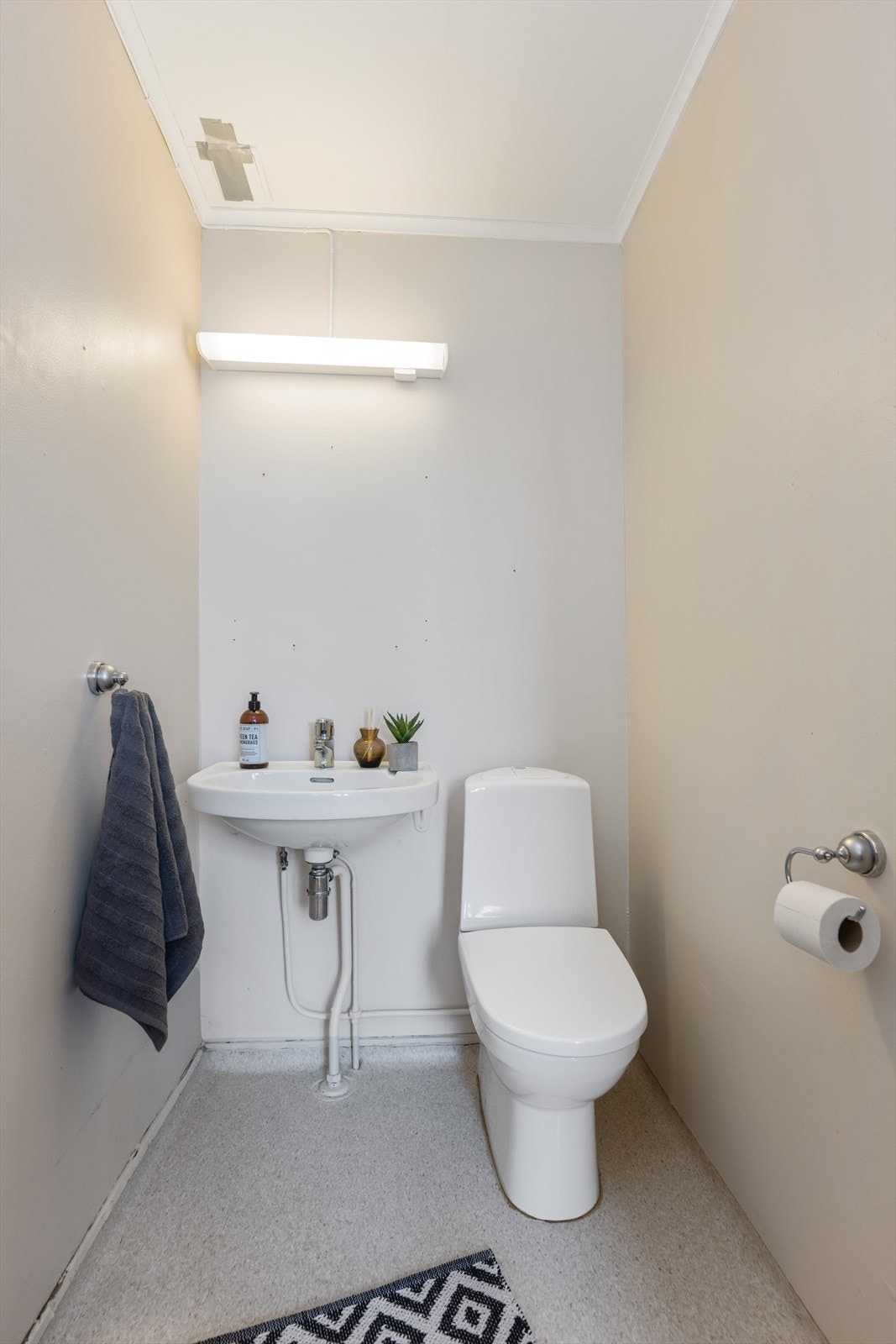 Separat toalettrom Galleribilde