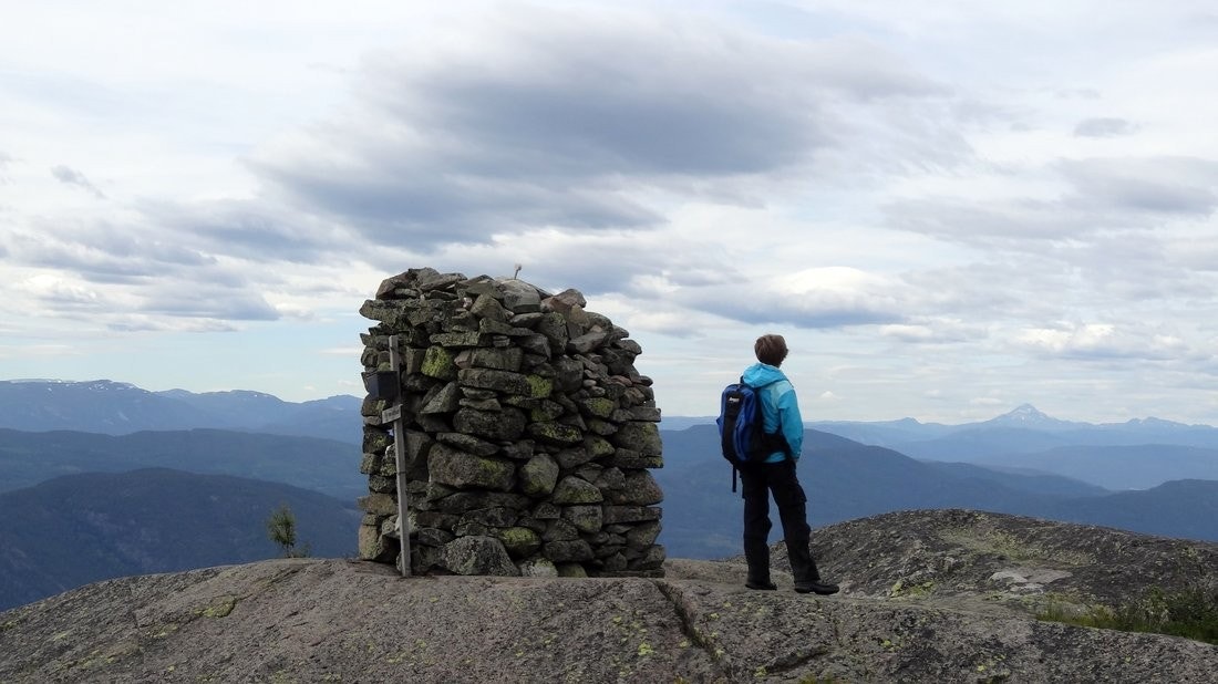 Idylliske Svanstul Galleribilde