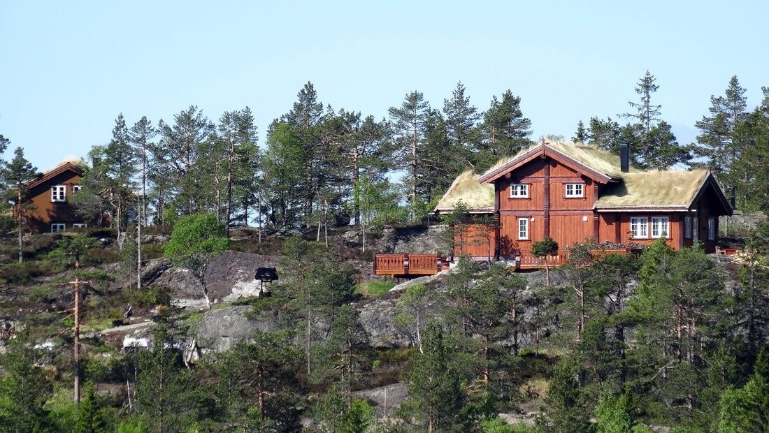 Idylliske Svanstul Galleribilde