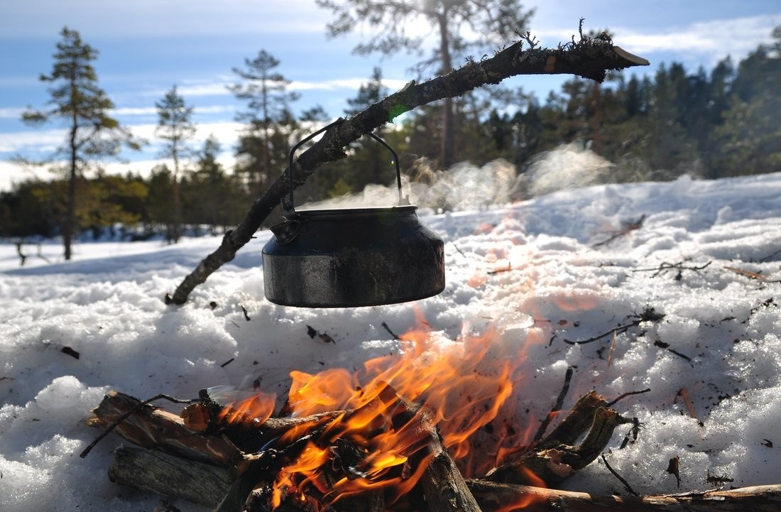Idylliske Svanstul Galleribilde
