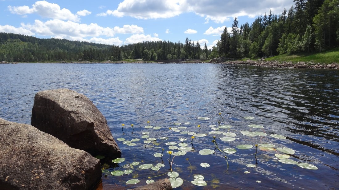 Idylliske Svanstul Galleribilde