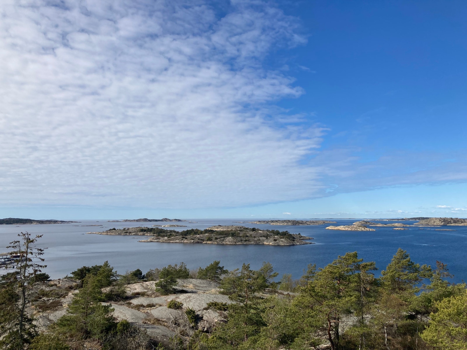 Naturbilder fra nærområdet Galleribilde
