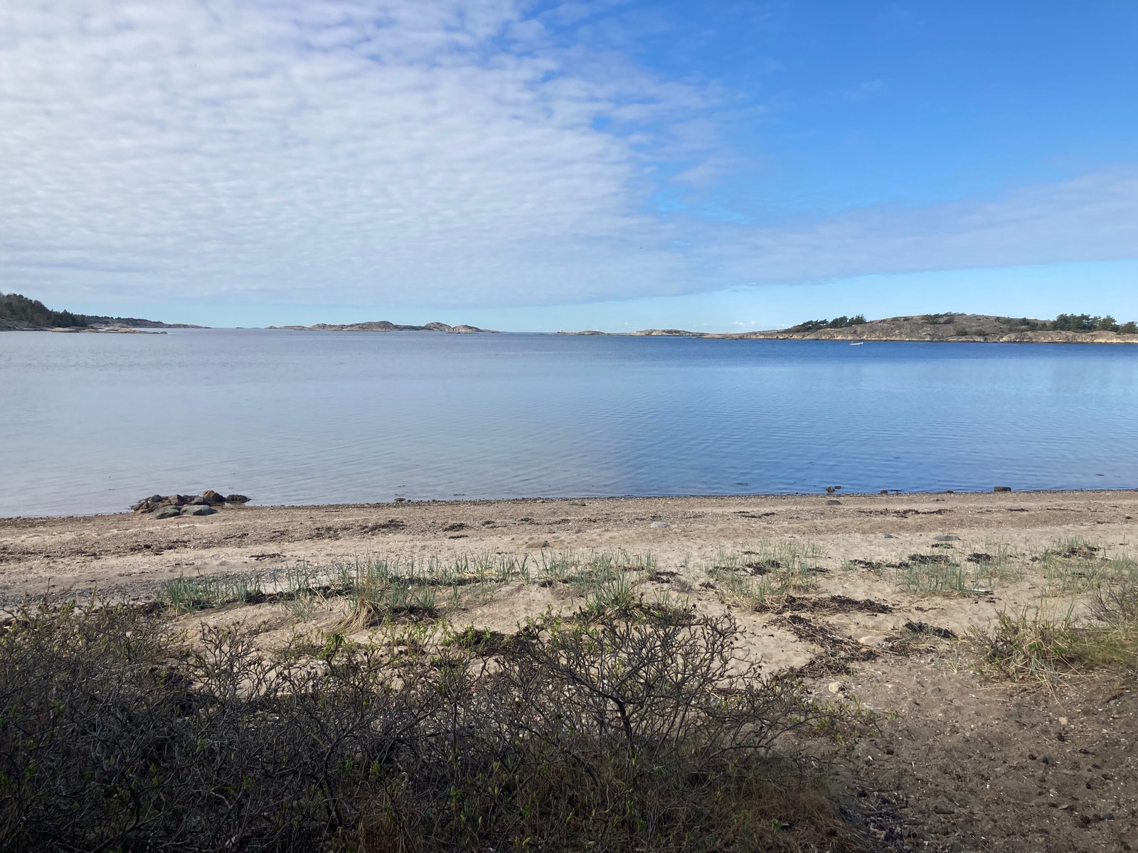 Naturbilder fra nærområdet Galleribilde