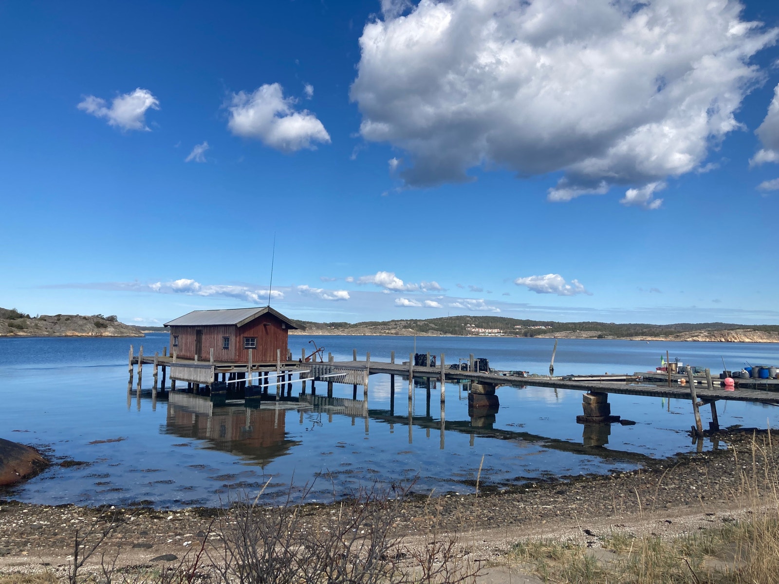 Naturbilder fra nærområdet Galleribilde