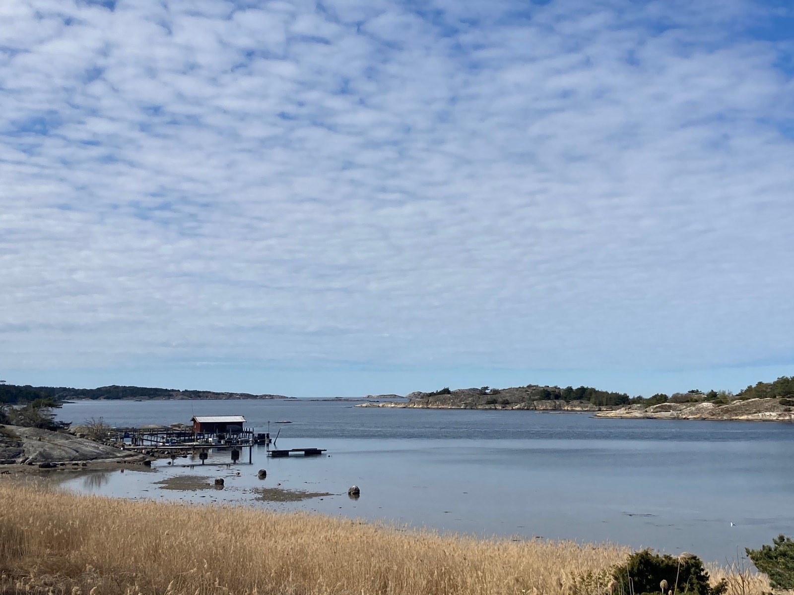 Naturbilder fra nærområdet Galleribilde