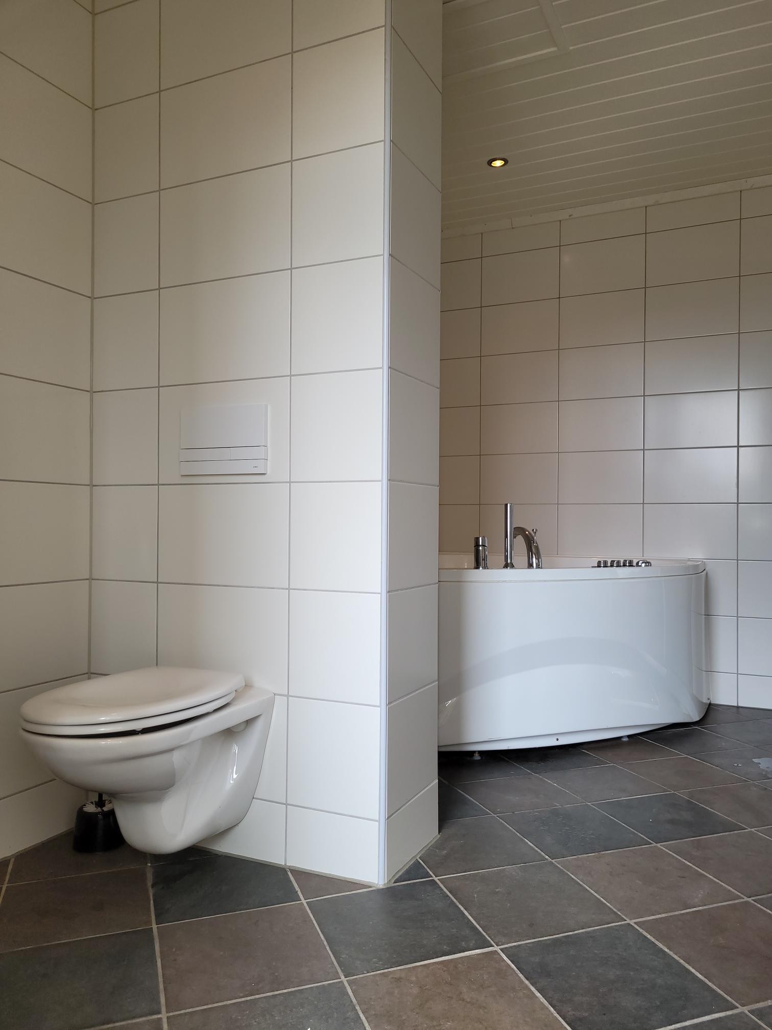 Stort bad med toalett Galleribilde