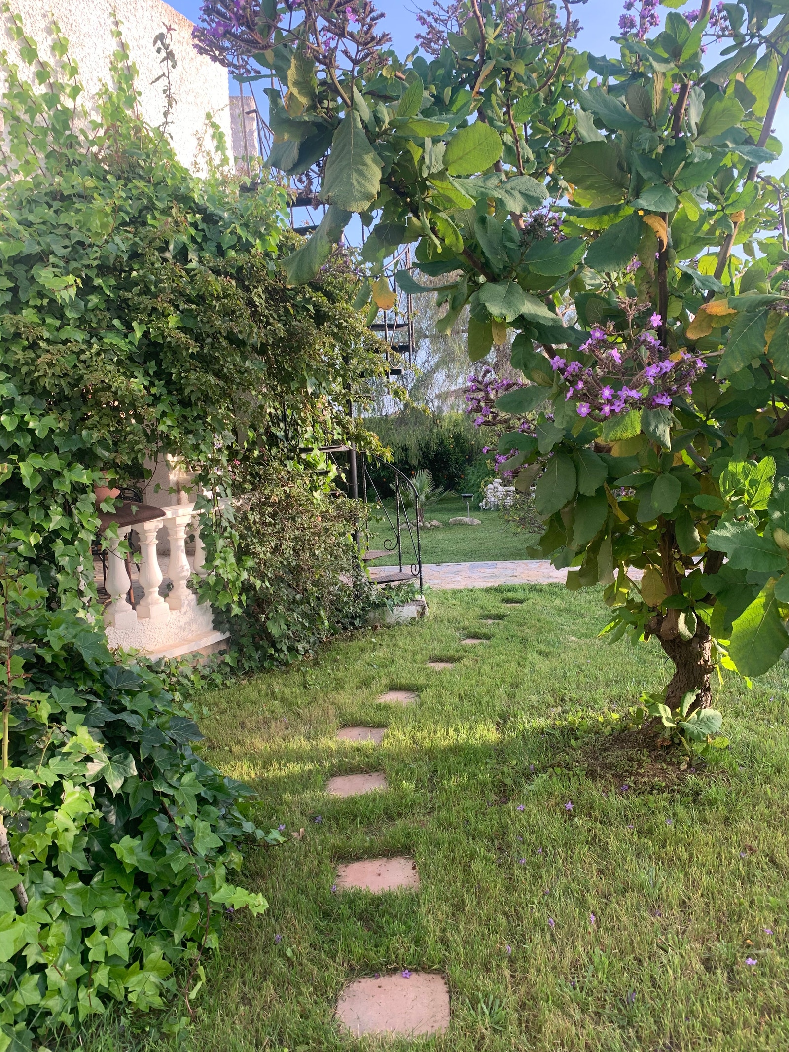 Mye blomstring etter sesonger Galleribilde