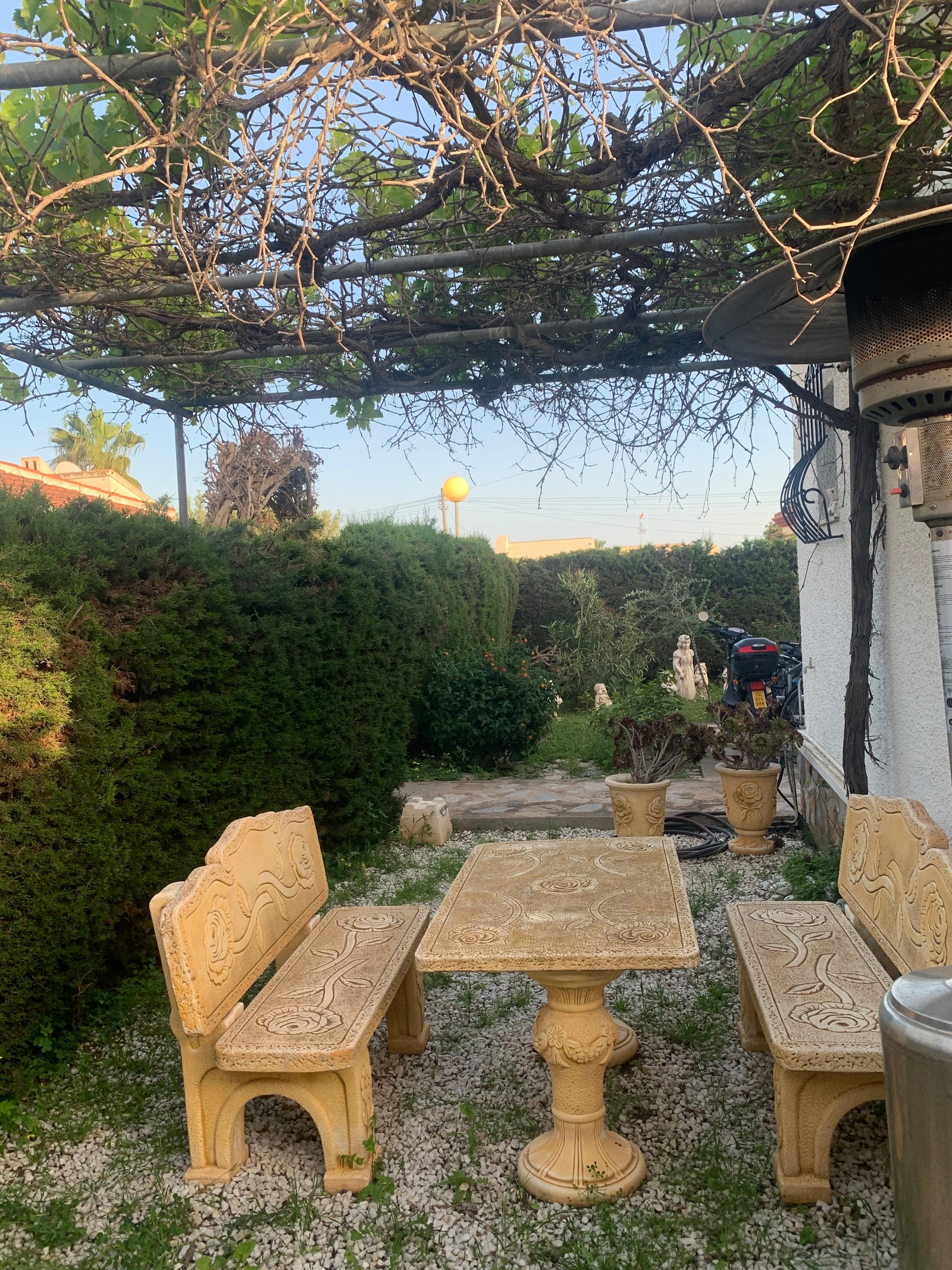 Frokostkroken under skygge fra druer med morgensol Galleribilde