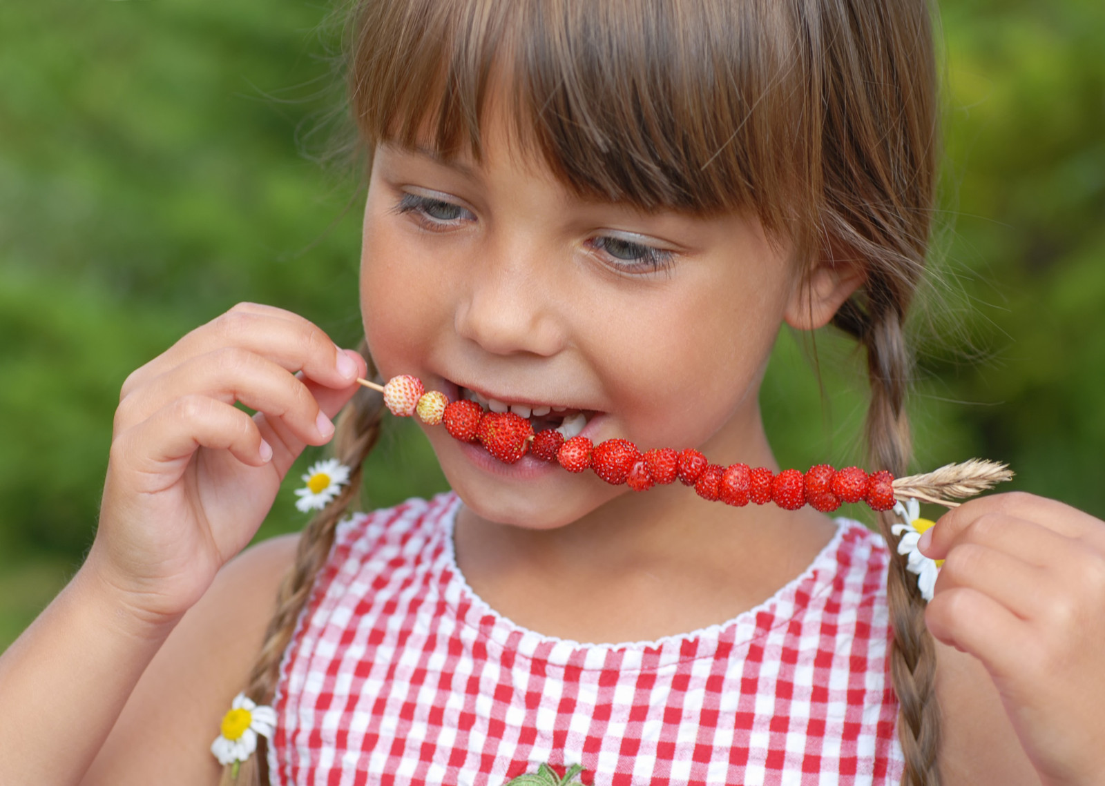 Дети едят ягоды