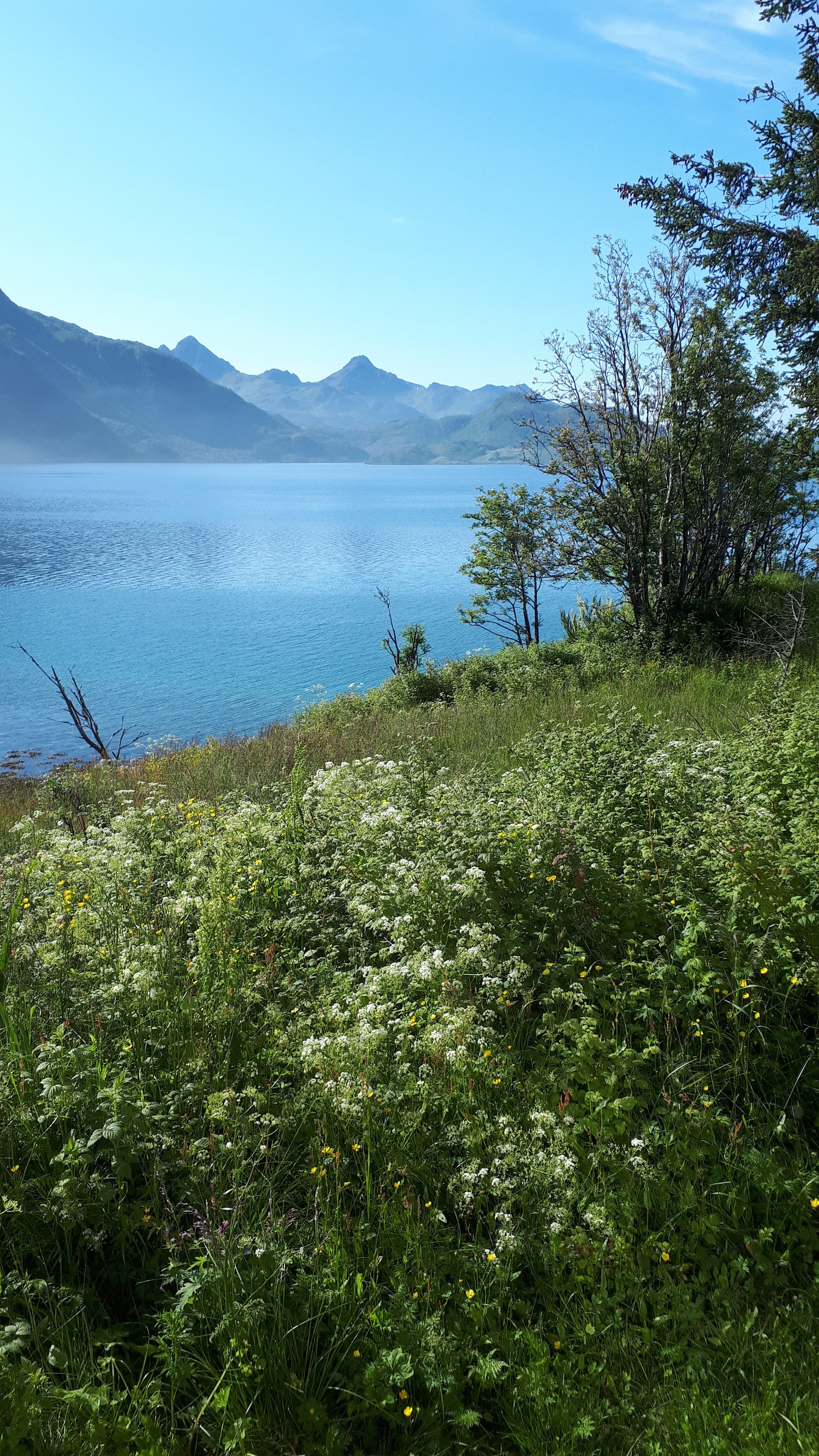 Utsikt fra terrasse Galleribilde