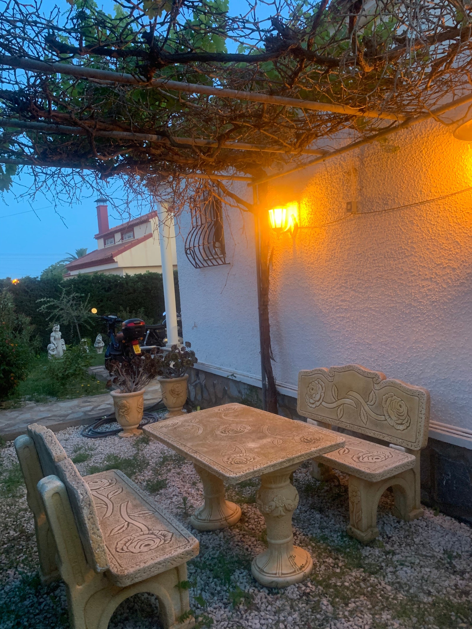 Under druene Galleribilde