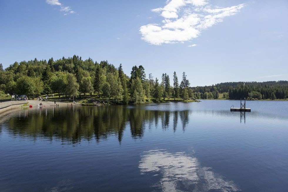 Nydelige Theisendammen få minutters gange fra leiligheten. Fantastiske turmuligheter rett utenfor døren. Galleribilde