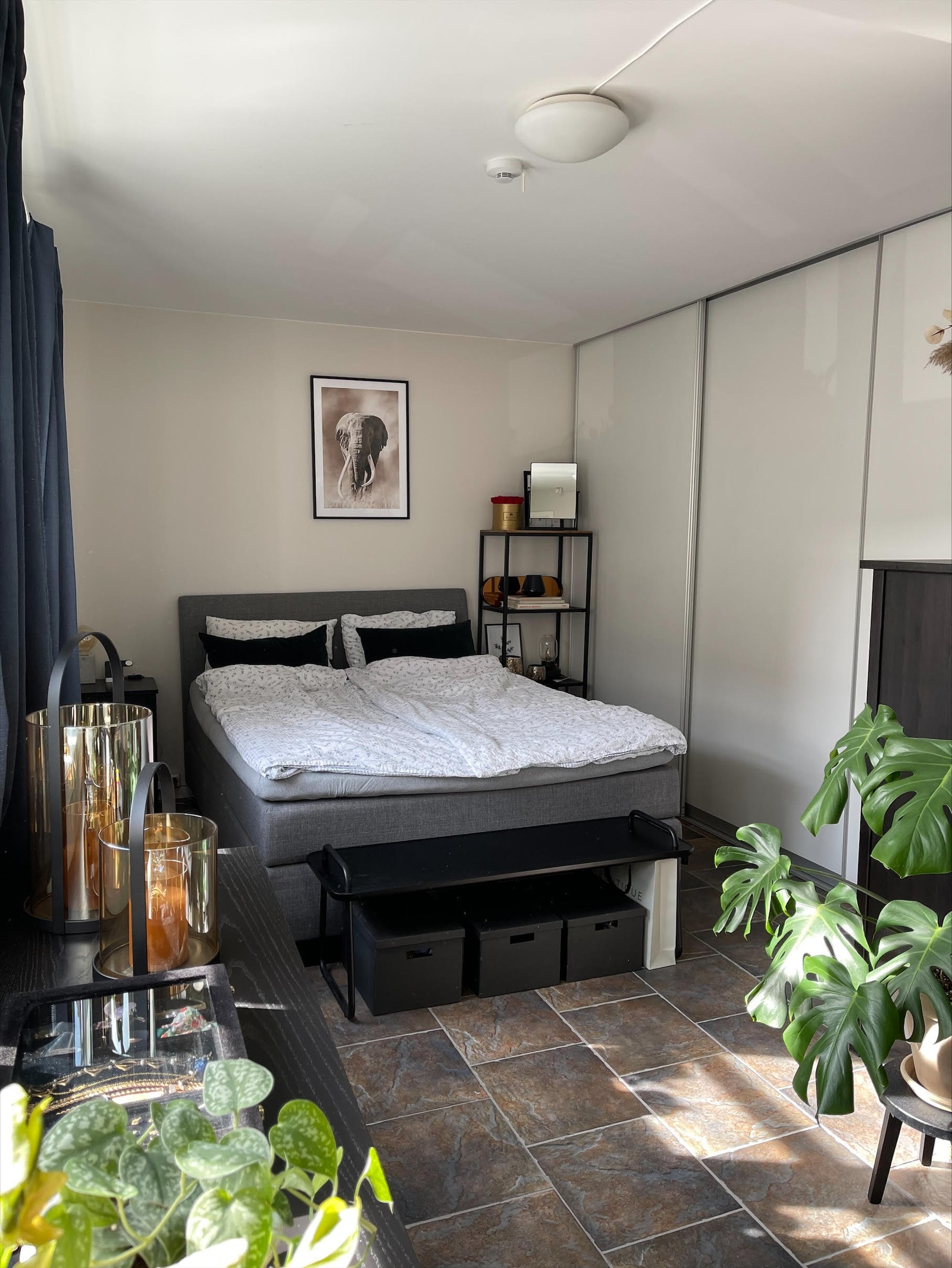 soverom 20m2 Galleribilde