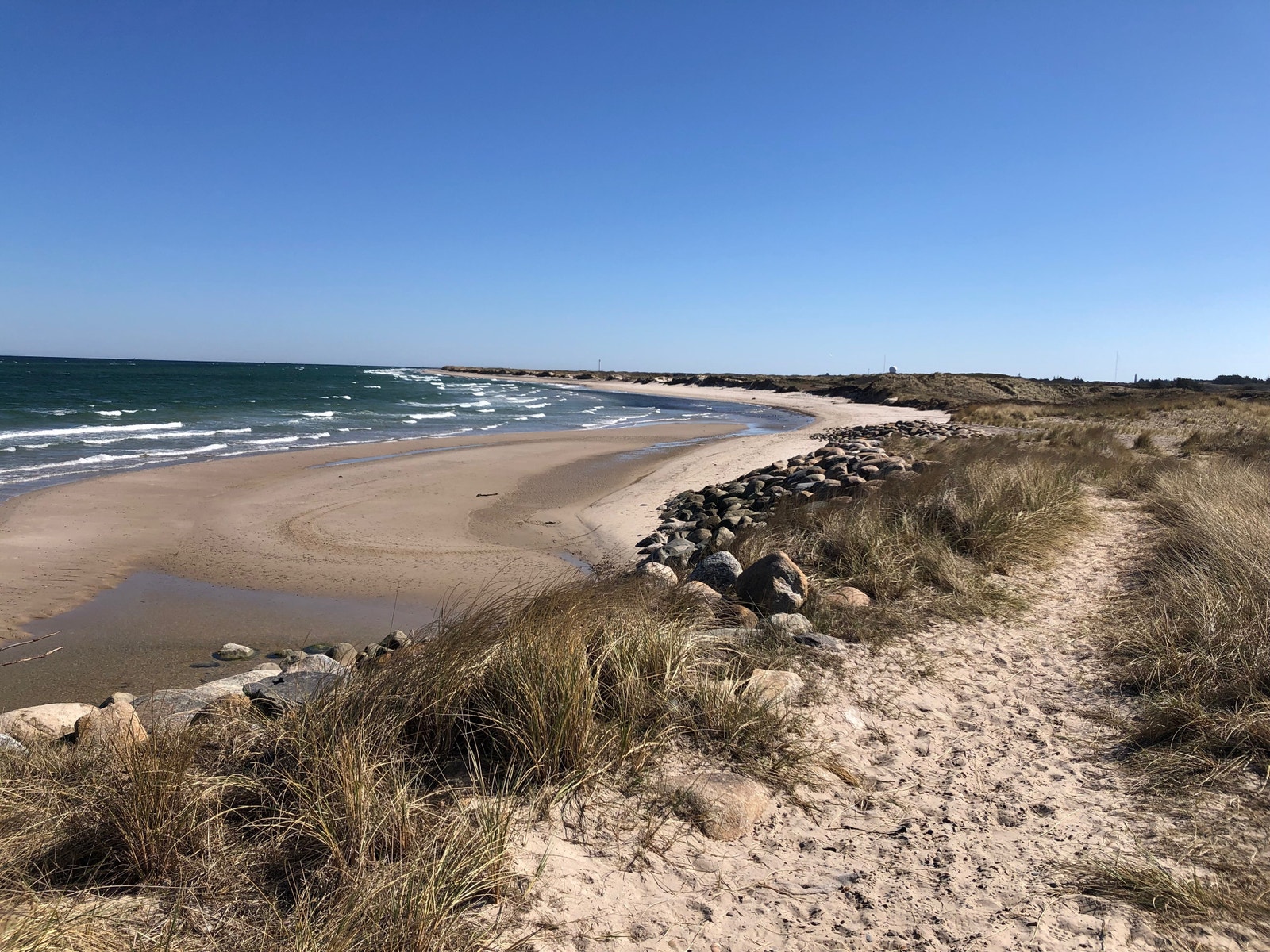 Østover mot Grenen fra Skagbanke Galleribilde