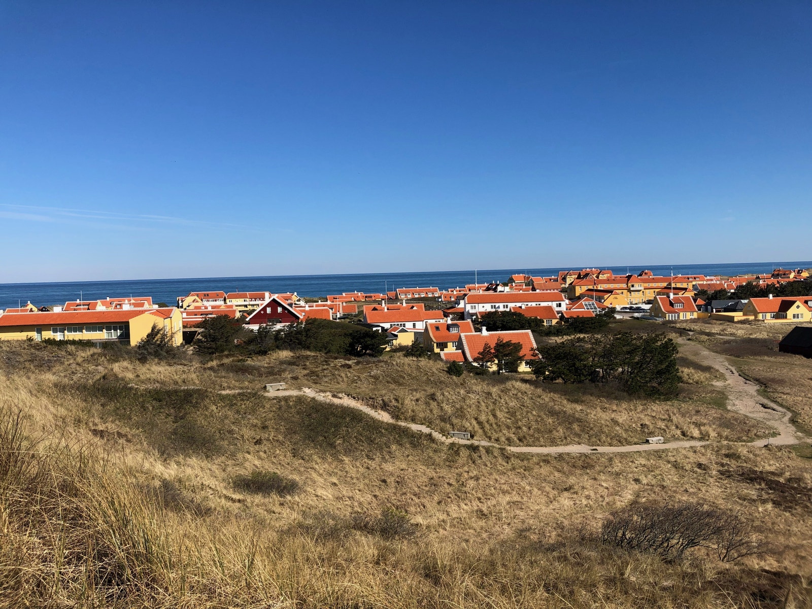 Gamle Skagen Galleribilde